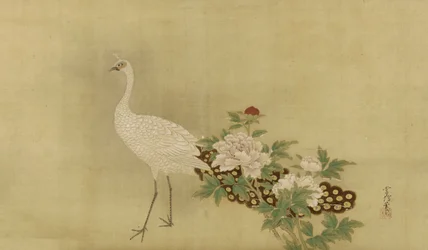 Weißer Pfau und Pfingstrosen, Edo-Periode, Mitte 17. bis Anfang 18. Jahrhundert